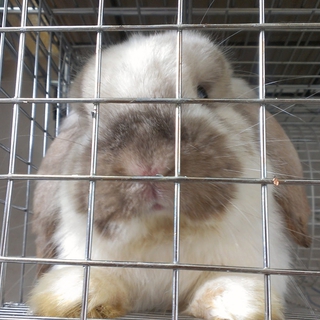 ありがとうございました