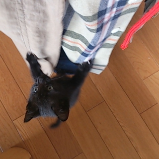 優しそうなご家族のもとに行きました