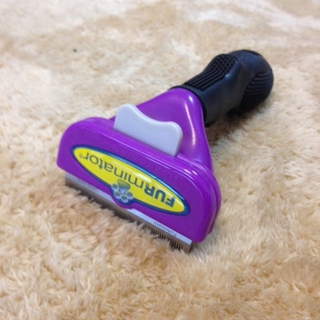 里親さんが決まりました　ありがとうございました