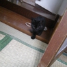 ありがとうございました。 サムネイル3