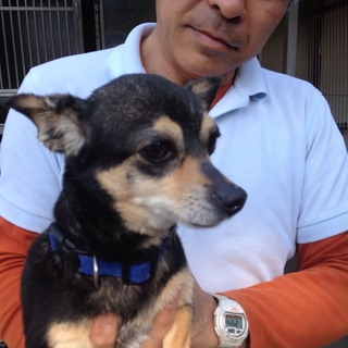 【ユーカリ】人懐こく元気です。少し犬見知りします。
