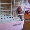 里親さんが決まりました。 サムネイル3