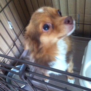 モっちゃん