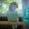 たくさんのご応募ありがとうございました。 サムネイル3