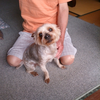 お願いします！！