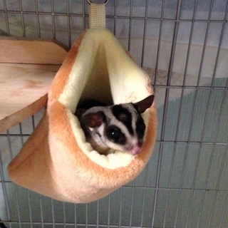ありがとうございました＾＾