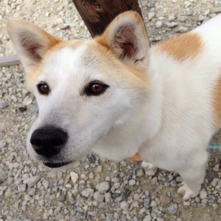 のんびり お嬢さん、３才の甘えん坊