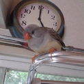 善きご縁が有りました。