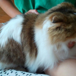 やさしいご家族に巡り合えました！