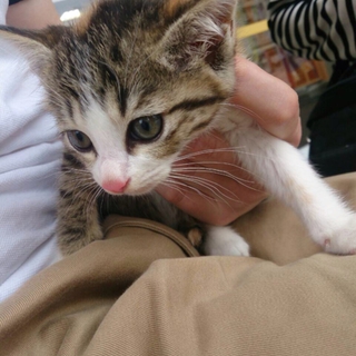 ありがとうございました。