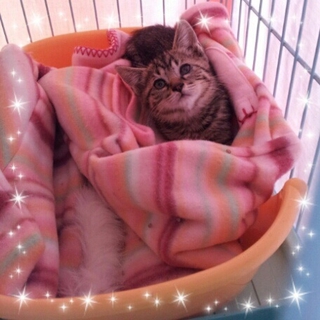 幸せに出会えました
