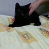 慣れています。 サムネイル3