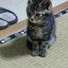 慣れています。 サムネイル2