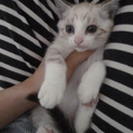 シロちゃん☆ありがとうございました