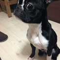 ありがとうございました！