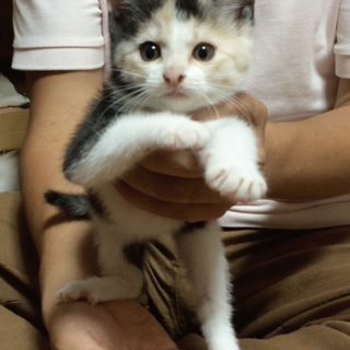 素敵な飼い主さんと出逢えました♥