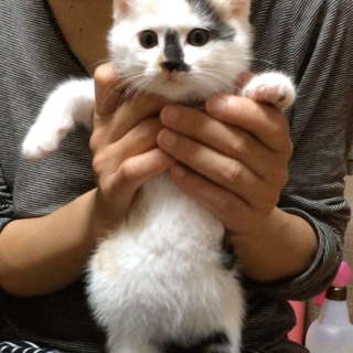 素敵な里親が決まりました！