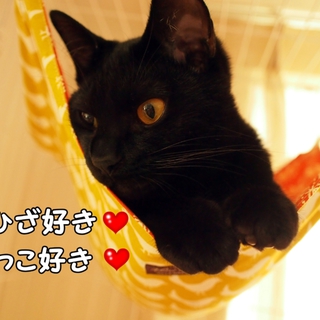 小柄な甘えっ子