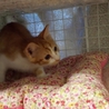 ありがとうございました。 サムネイル2