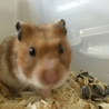 赤い糸のご縁がありました(*^◯^*) サムネイル3