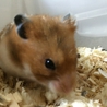 赤い糸のご縁がありました(*^◯^*) サムネイル4