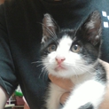 とても優しい方に家族として迎えてもらいました