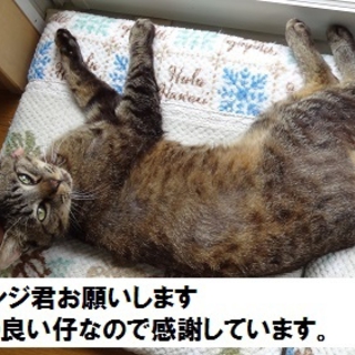 甘えん坊のサンジ君よろしくお願いします！