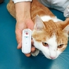 オレで良ければ サムネイル2
