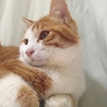 オレで良ければ サムネイル5