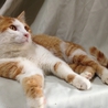 オレで良ければ サムネイル6