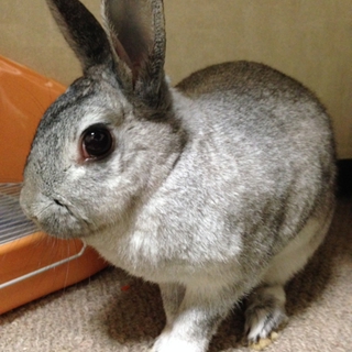 ありがとうございました