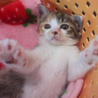 あじさいちゃんとでんでんくん サムネイル2