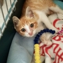 新しい飼い主さんが決まりました