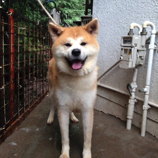 本当に可愛がってくださる方よろしくお願いします
