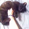 僕、シュです！ サムネイル4