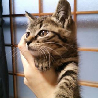 べったべたな甘えん坊ﾓｶ☆