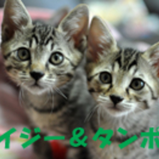 ★カワイイ4兄弟★