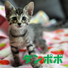 ★カワイイ4兄弟★ サムネイル2