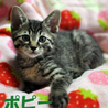 ★カワイイ4兄弟★ サムネイル4