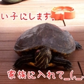 素敵な里親様が決まりました！