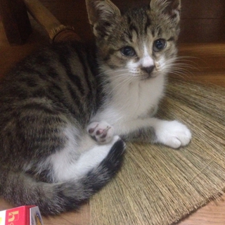 元気な男の子
