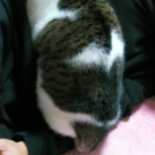 おっとり癒し系の、まっつんちゃん。