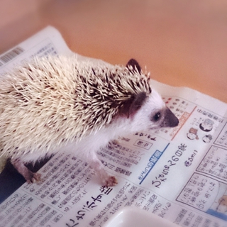 沢山のご応募誠にありがとうございました！！！！！