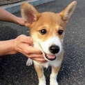 沢山のご応募ありがとうございました