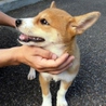 沢山のご応募ありがとうございました サムネイル2