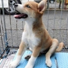 沢山のご応募ありがとうございました サムネイル4