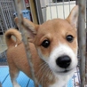 沢山のご応募ありがとうございました サムネイル3