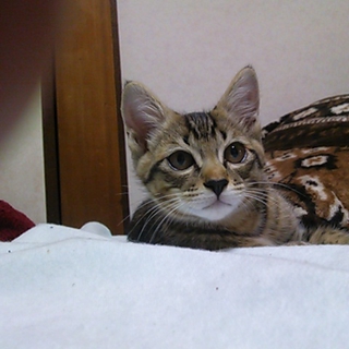 １人遊び 大好きっ子、可愛さ満開中です。