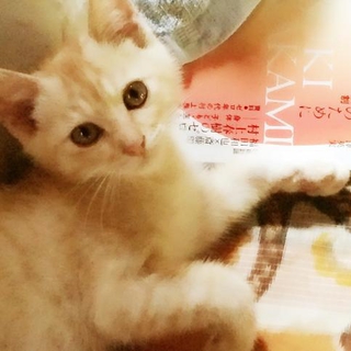 生後３ヶ月ぐらいの元気な男の子