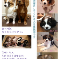 一生大事にしてくれる人を募集中です。